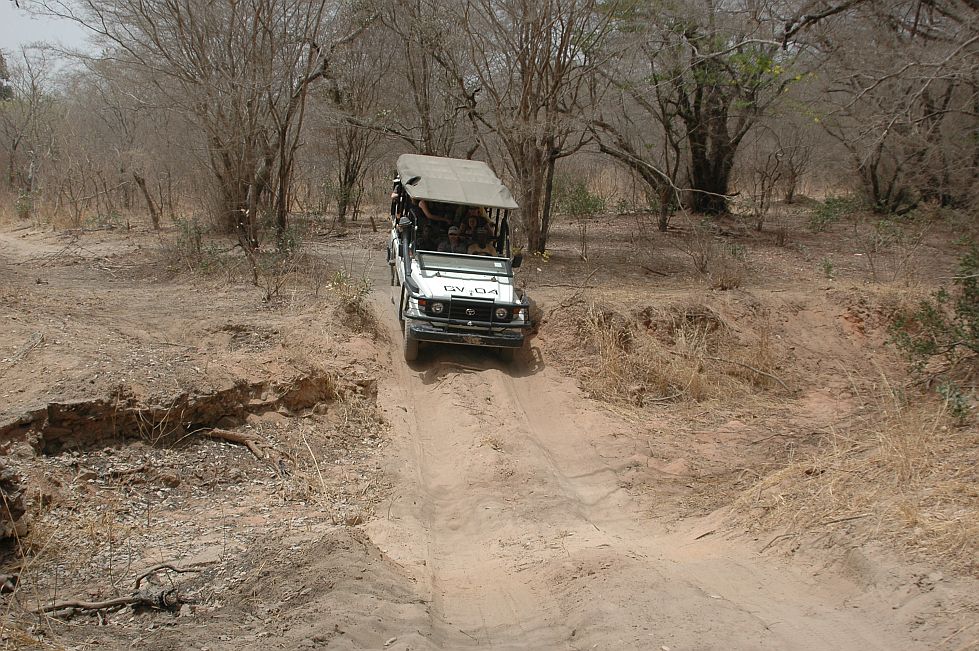 safari jeep. Safari Jeep Road